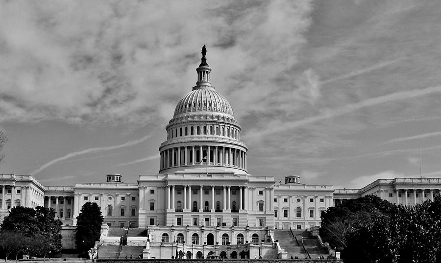 Washington Capitol Photograph by Eileen Brymer