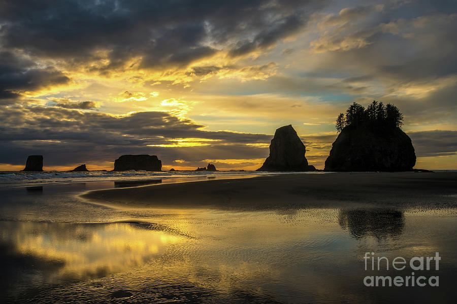 Washington Coast Golden Sunset Photograph