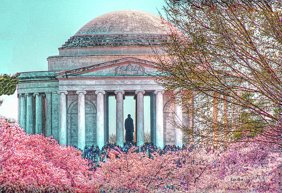 Cherry Blossoms at the Washington National Cathedral Photograph by Metro DC  Photography - Fine Art America
