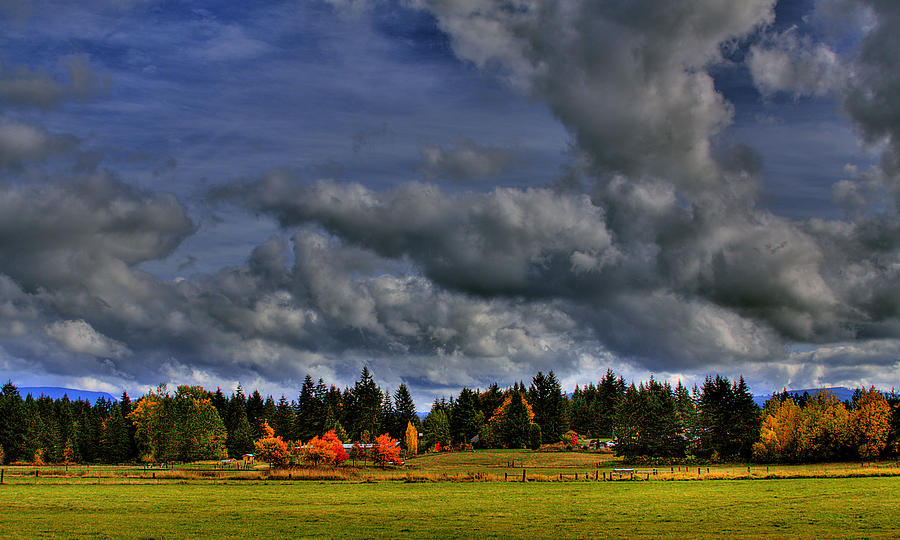 Washington Landscape Photograph by David Patterson