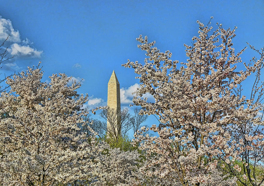 Washington Monument # 11 Photograph by Allen Beatty