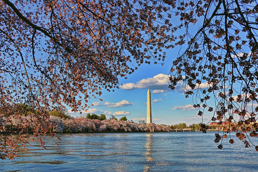 Washington Monument # 9 Photograph by Allen Beatty