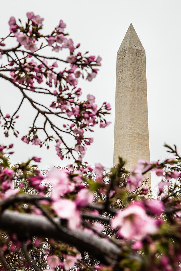 Washington Monument 1 by Karen Saunders Washington Monument 1 by Karen Saunders