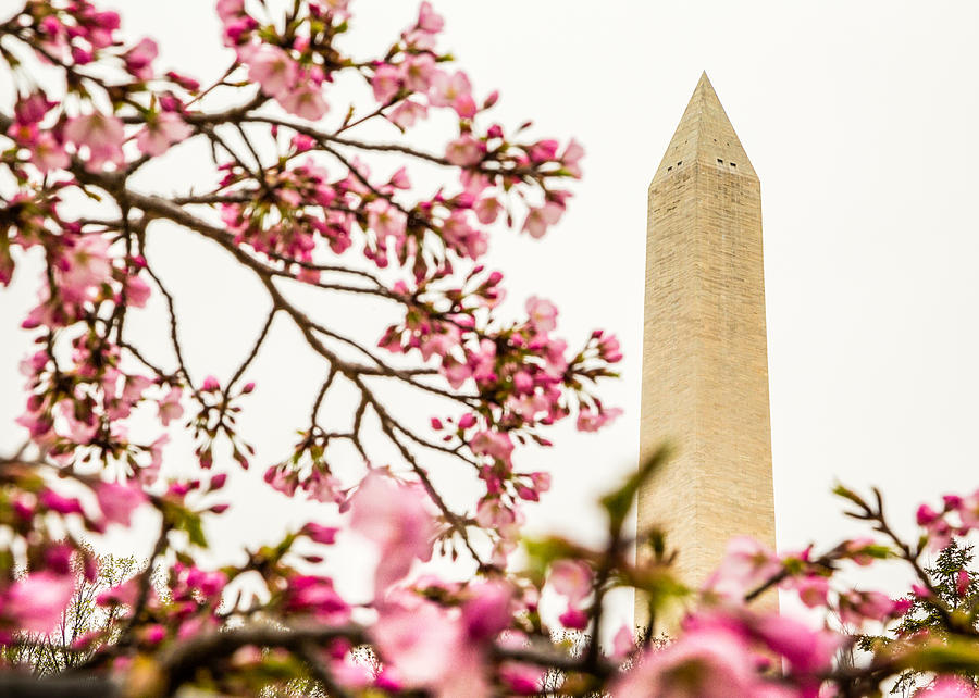 Washington Monument 2 by Karen Saunders Washington Monument 2 by Karen Saunders