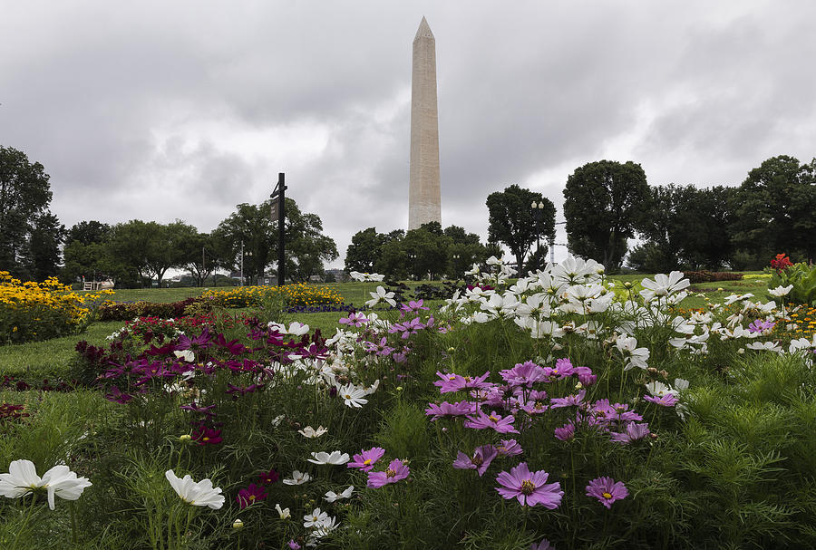 Washington Monument and Flowers Photograph by Dennis Kowalewski