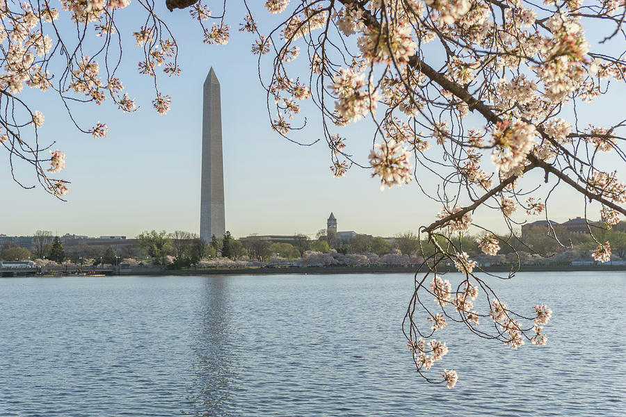Washington Monument by Arthur English Washington Monument by Arthur English
