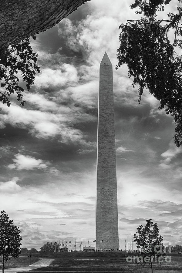 George Washington Photograph - Washington Monument Black and White by Tom Gari Gallery-Three-Photography