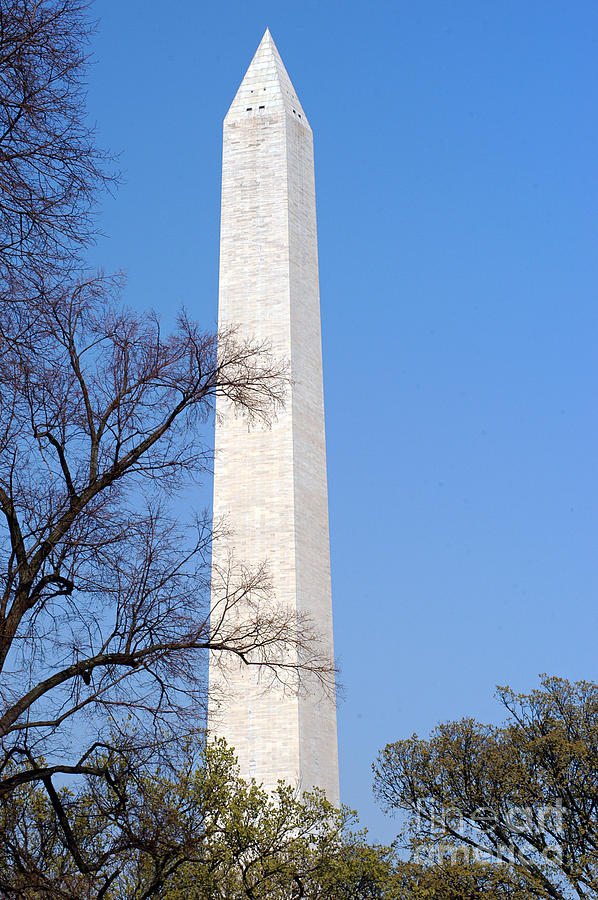 Washington Monument Photograph by Clayton Bruster