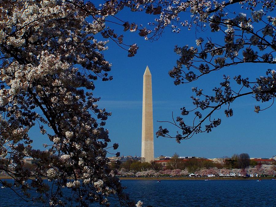 Washington Monument Photograph by Eileen Brymer