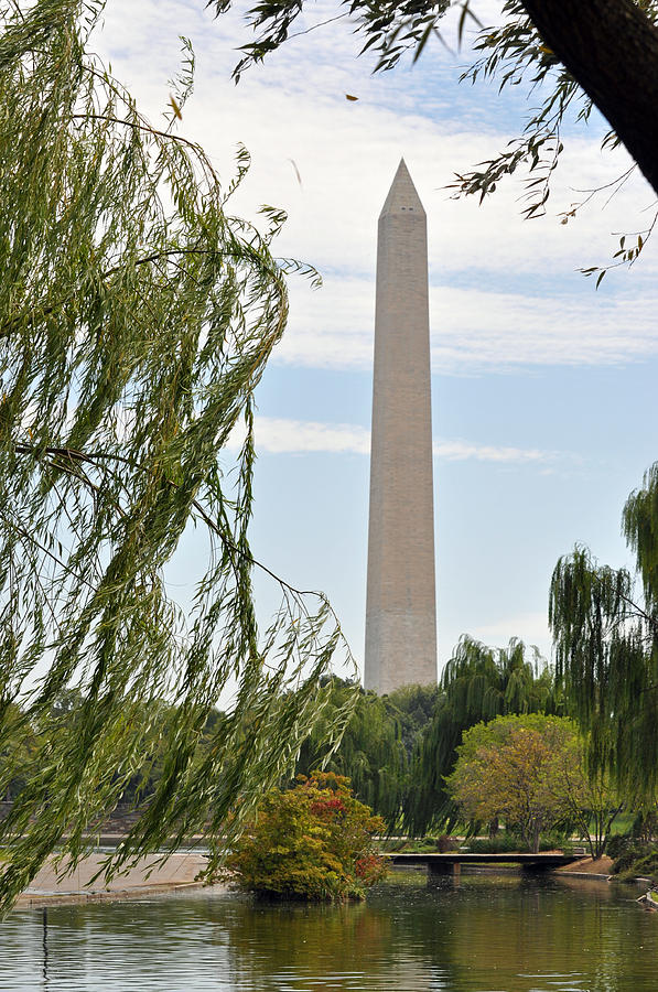 Washington Monument Floral Photograph by Teresa Blanton