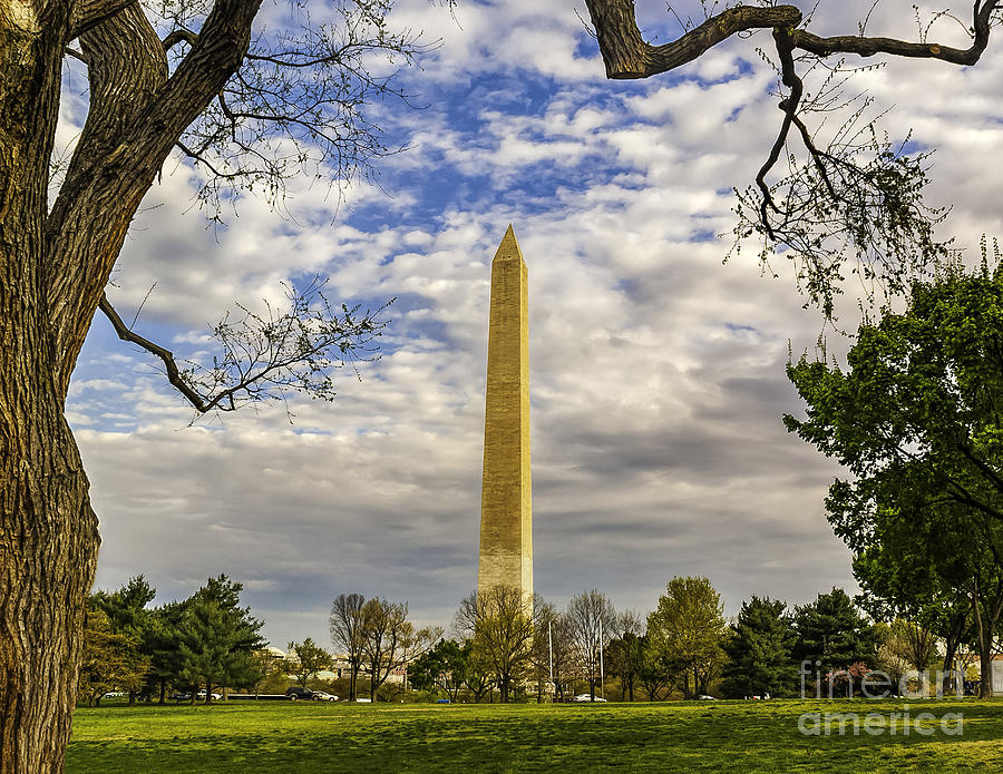 Washington Monument from the Mall Photograph by Nick Zelinsky Jr