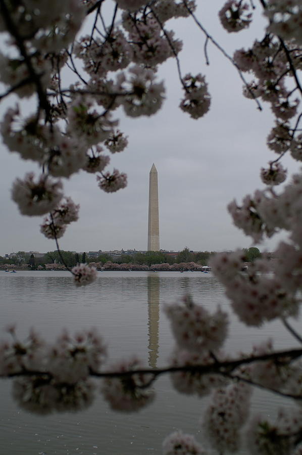 Washington Monument Photograph by Henri Irizarri