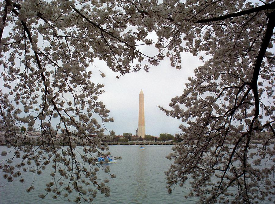 Washington Monument Photograph by Joyce Kimble Smith
