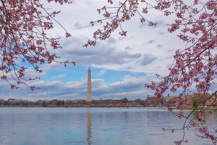 Washington Monument  Photograph by Juergen Roth