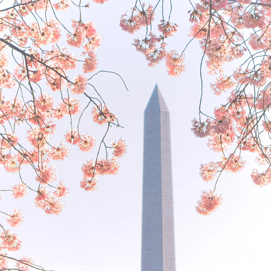 Washington Monument Spring Celebration  Photograph by Olivier Le Queinec