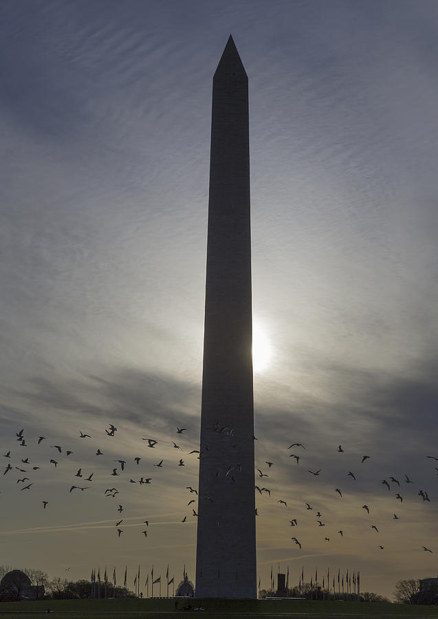 Washington Monument Sunrise Photograph by Jack Nevitt