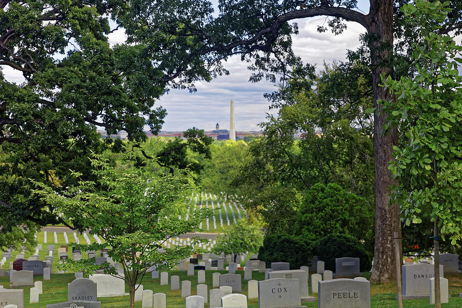 Washington Monument throught the trees at Arlington National Cemetery Photograph by Doolittle Photography and Art