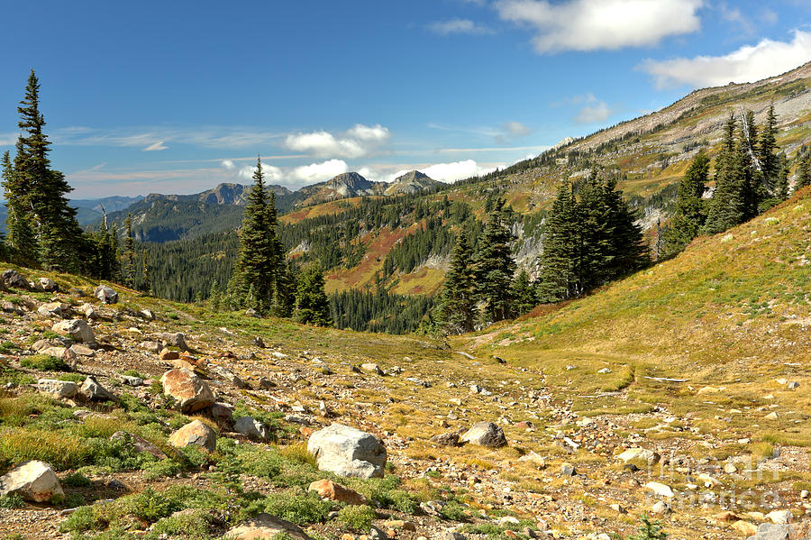 Washington Mountain Landscape Photograph by Adam Jewell