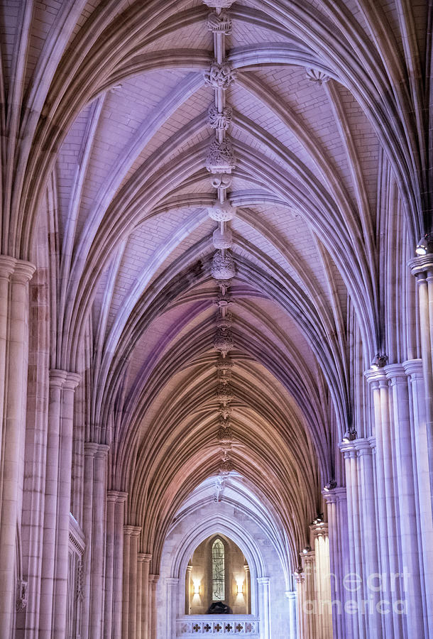 Washington National Cathedral Photograph by Bianca Nadeau