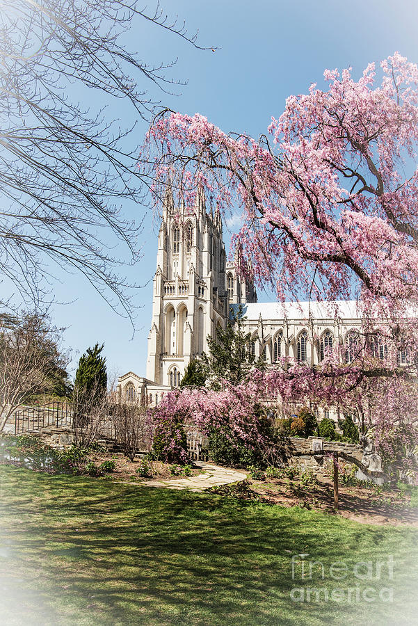 Washington National Cathedral Photograph by Judy Wolinsky