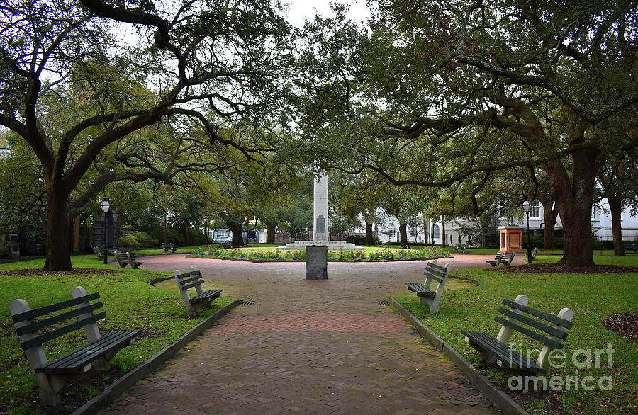 Washington Park, Charleston, Sc Photograph