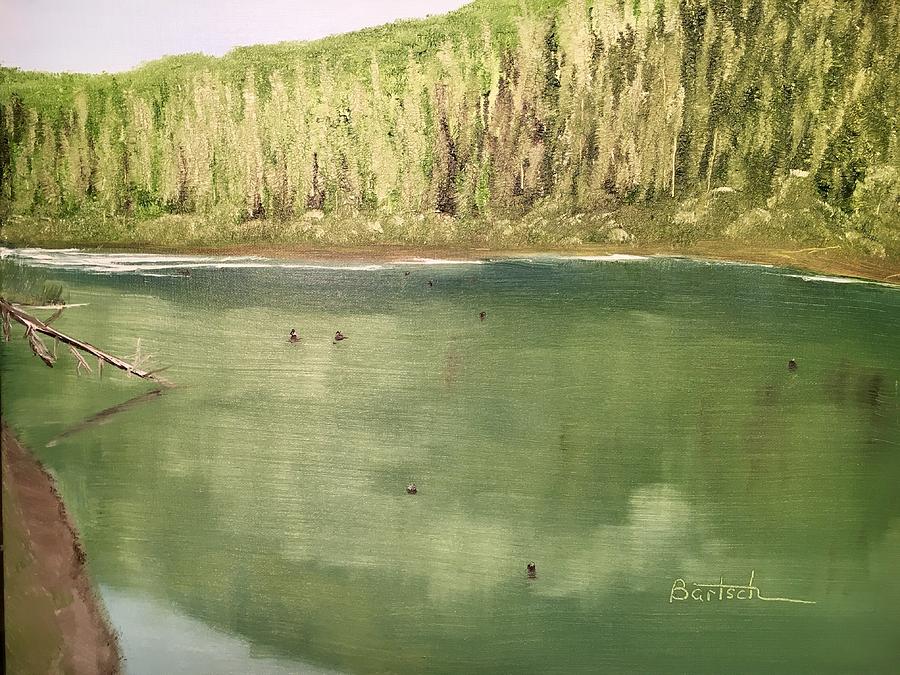Washington Pine Lake Painting by David Bartsch