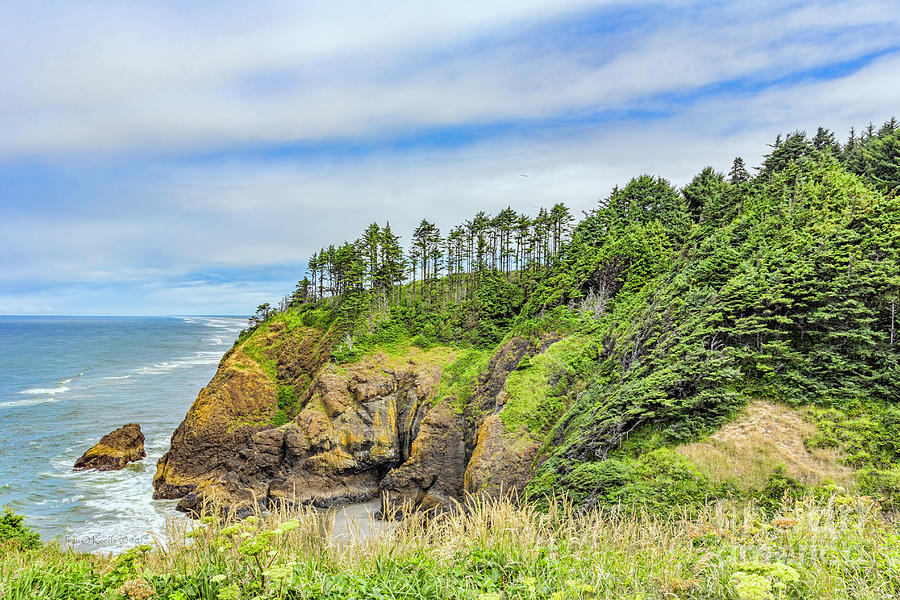 Nature Digital Art - Washington State Coastline by Jean OKeeffe Macro Abundance Art