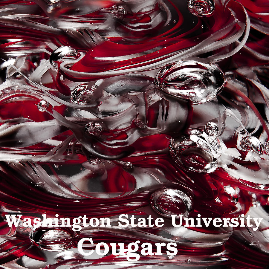 Washington State University Cougars Photograph by David Patterson