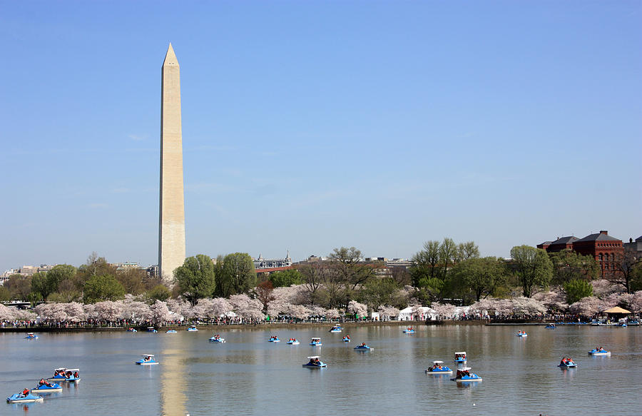 Washington Tidal Basin in Spring Photograph by Mary Haber