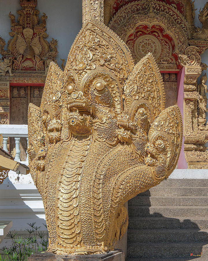 Wat Kumpa Pradit Phra Wihan Five-headed Naga DTHCM1664 Photograph by Gerry Gantt