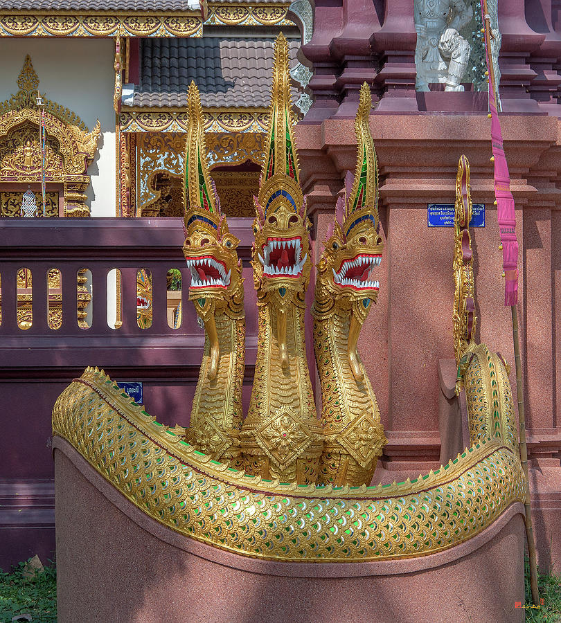 Wat Mae San Pa Daet Multi-headed Gate Naga DTHLU0222 Photograph by Gerry Gantt