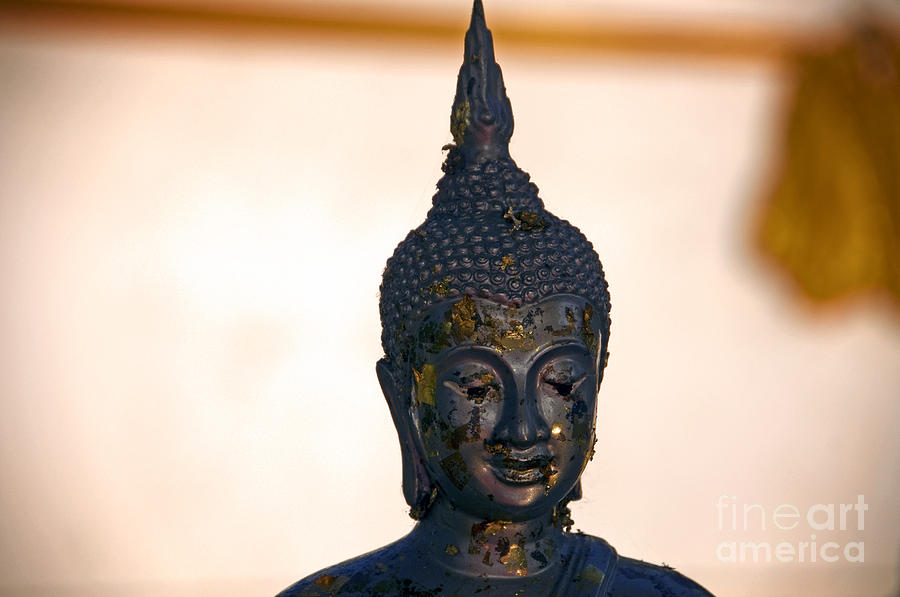 Wat Pho Buddha Photograph by Ray Laskowitz - Printscapes