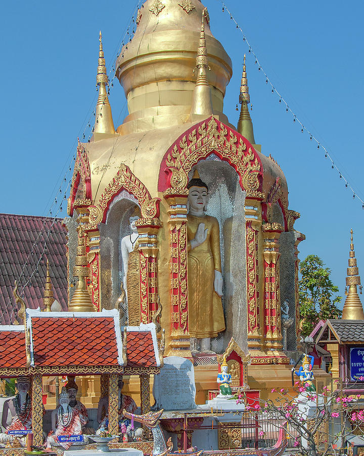 Wat Phra Khong Reusi Phra Chedi Buddha Niches DTHLU0376 Photograph by Gerry Gantt