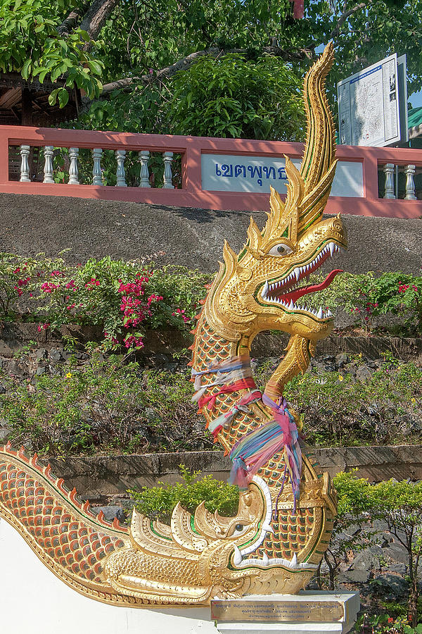 Wat Phra That Doi Saket Upper Terrace Gate Makara and Naga DTHCM2192 Photograph by Gerry Gantt