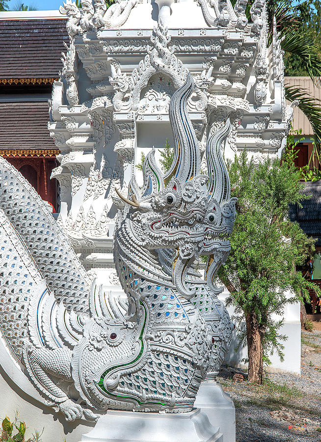 Wat Ram Poeng Phra Ubosot Gallery Makara and Naga Guardian DTHCM2441 Photograph by Gerry Gantt