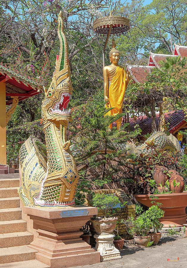 Wat Ram Poeng Phra Wihan Buddha and Makara and Naga Guardian DTHCM2436 Photograph by Gerry Gantt