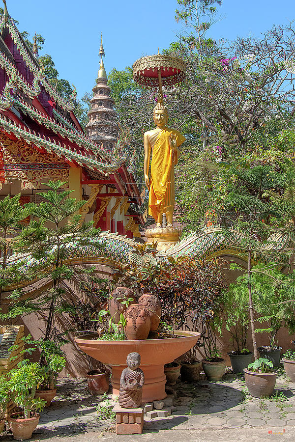 Wat Ram Poeng Phra Wihan Standing Buddha Image DTHCM2437 Photograph by Gerry Gantt