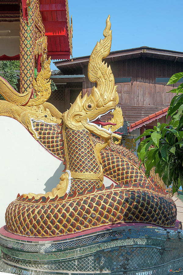 Wat Rong Oa Phra Wihan Makara and Naga DTHCM1447 Photograph by Gerry Gantt