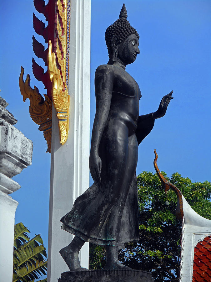 Wat Sawangfa 16 Photograph by Ron Kandt
