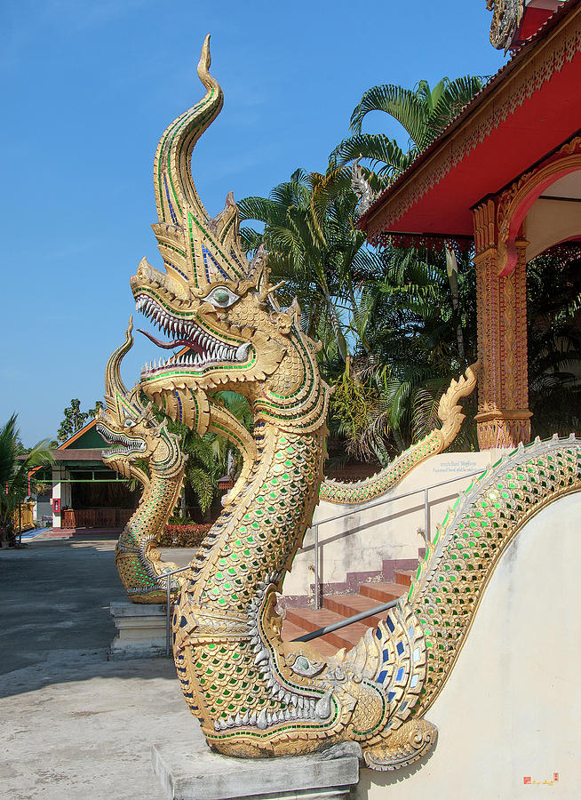 Wat Si Chum Naga DTHLU0127 Photograph by Gerry Gantt