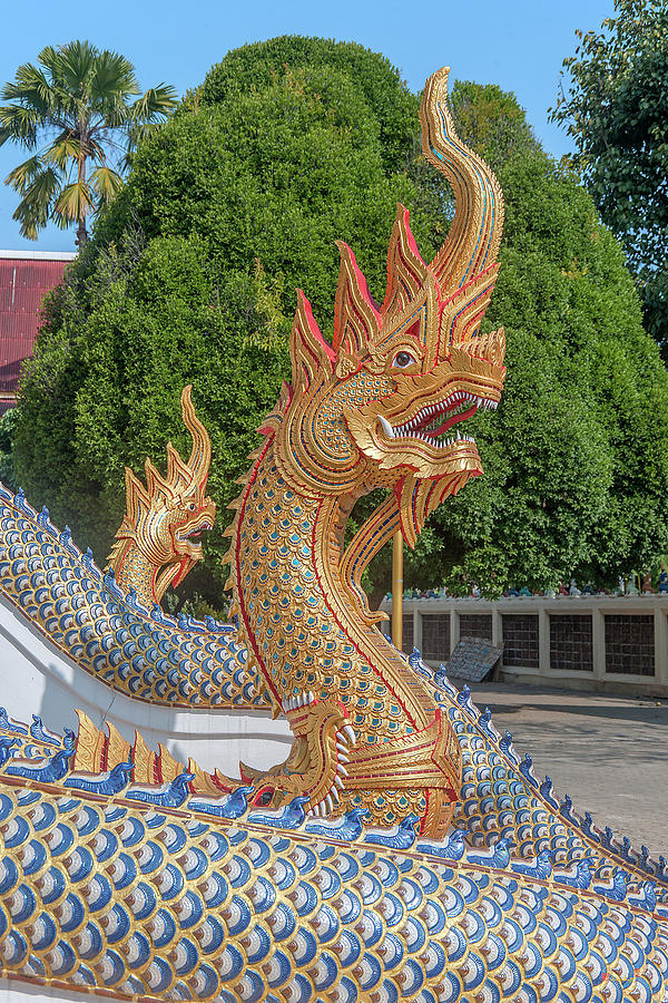Wat Si Ngam Phra Wihan Makara and Naga DTHCM1909 Photograph by Gerry Gantt
