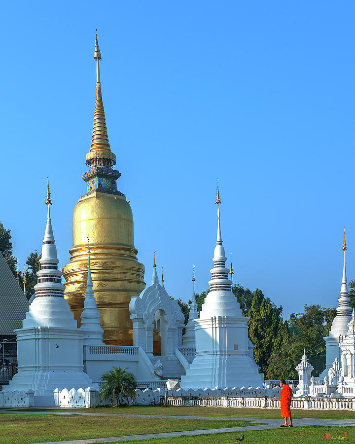 Wat Suan Dok Buddha Relics Chedi DTHCM0949 Photograph by Gerry Gantt