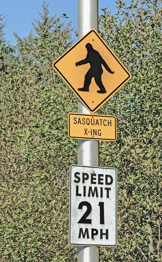 Watch Out for the Sasquatch Photograph by Tikvahs Hope