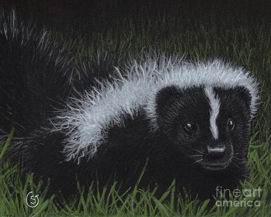 Skunk Painting - Watch Out - Theres A Baby Skunk In The Grass by Sherry Goeben Skunk Painting - Watch Out - Theres A Baby Skunk In The Grass by Sherry Goeben
