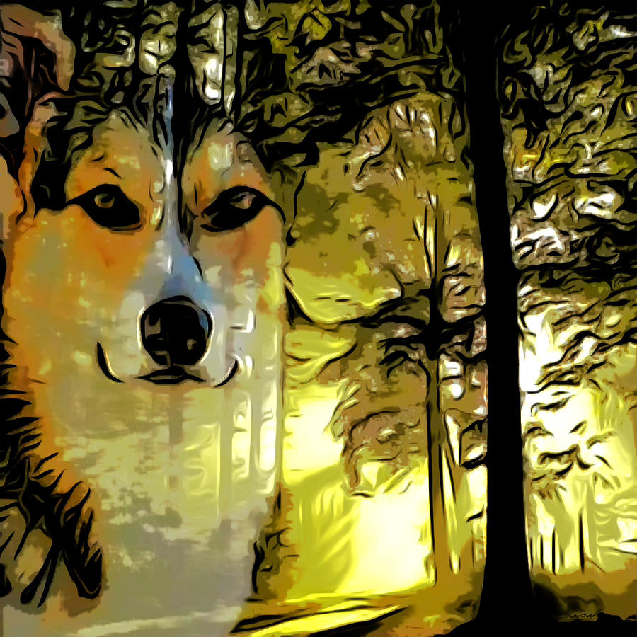 Watcher of the Woods Digital Art by Kathy Kelly
