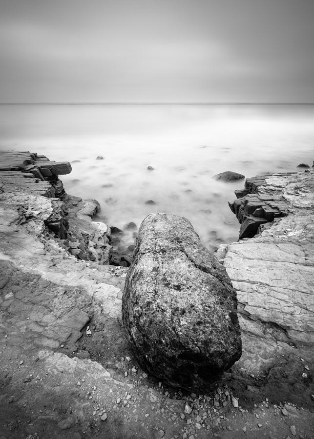 San Diego Photograph - Watcher of Tides by Alexander Kunz