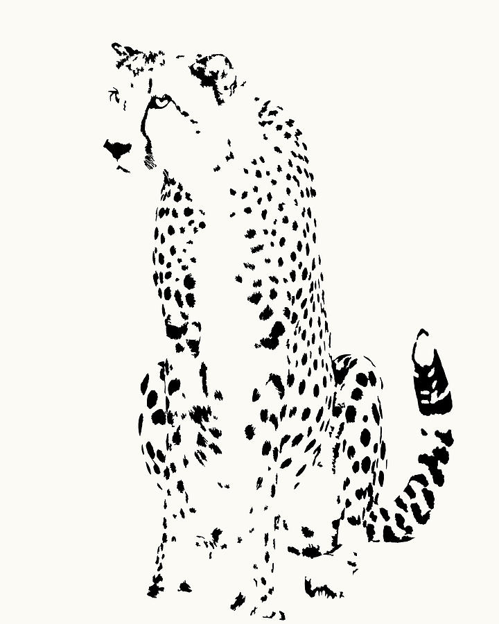 Cheetah Photograph - Watchful Cheetah on its Haunches by Scotch Macaskill Cheetah Photograph - Watchful Cheetah on its Haunches by Scotch Macaskill