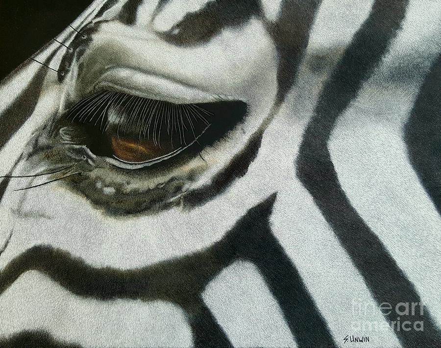 Animal Drawing - Watchful Eye by Sheryl Unwin Animal Drawing - Watchful Eye by Sheryl Unwin