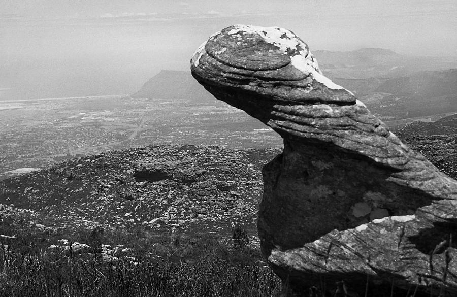 Watchful Rock Photograph by Terence Davis