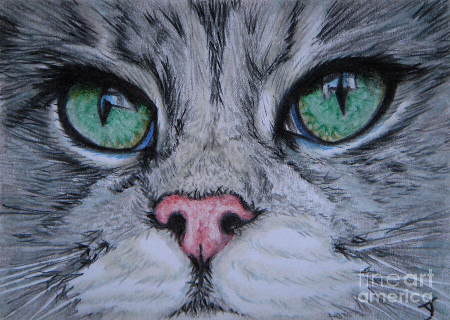 Watching ACEO Drawing by Yvonne Johnstone